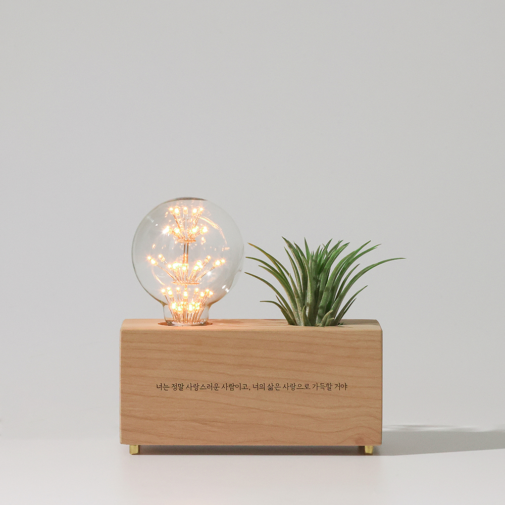 원목 각인 공기정화 식물 틸란드시아 이오난사 화분 LED 무드등 눈꽃전구 연꽃체 - 상세 이미지 4