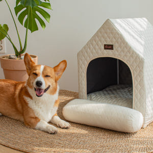 초코펫 에브리데이 하우스 속방석만 솔직 후기 | 실제 사용자 리뷰 총정리 - 상품 이미지 3