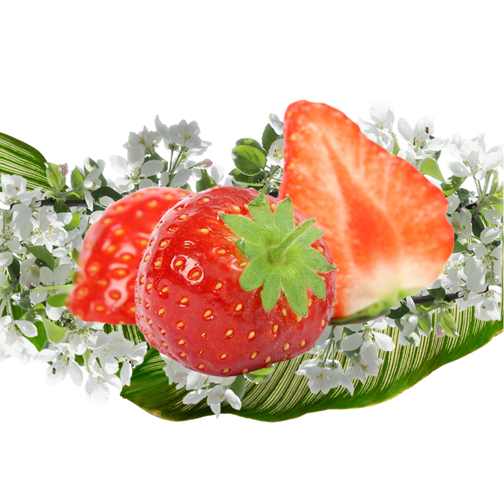 찹찹 덴탈껌 강아지 치석제거 개껌 쏨달펫 장건강, 500g, 60개 - 상세 이미지 5