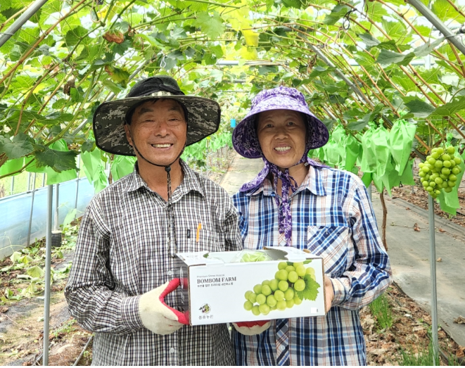 샤인머스켓 고당도 프리미엄 제철 선물세트 말랭이 GAP 망고포도 농장직영