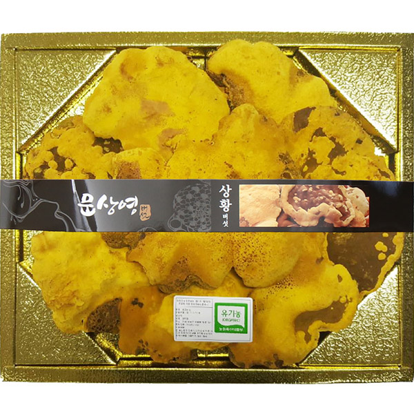 유기농 장수 상황버섯 특품 500g - 메인 이미지