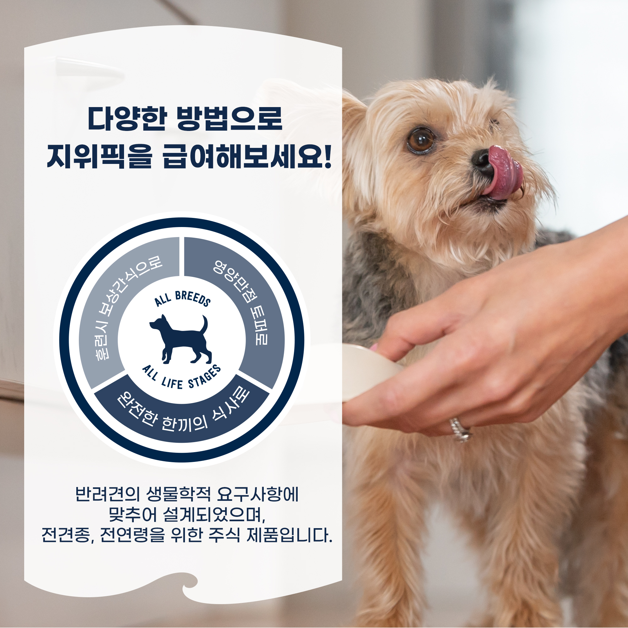 지위픽 오리지널 에어드라이 독 사료 트라이프+양고기, 1kg, 1개 이미지 7