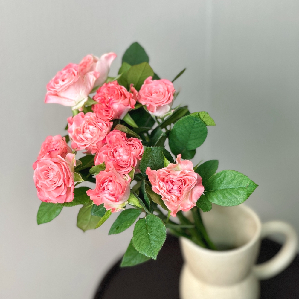 리틀캠든 페어플 장미 생화꽃다발