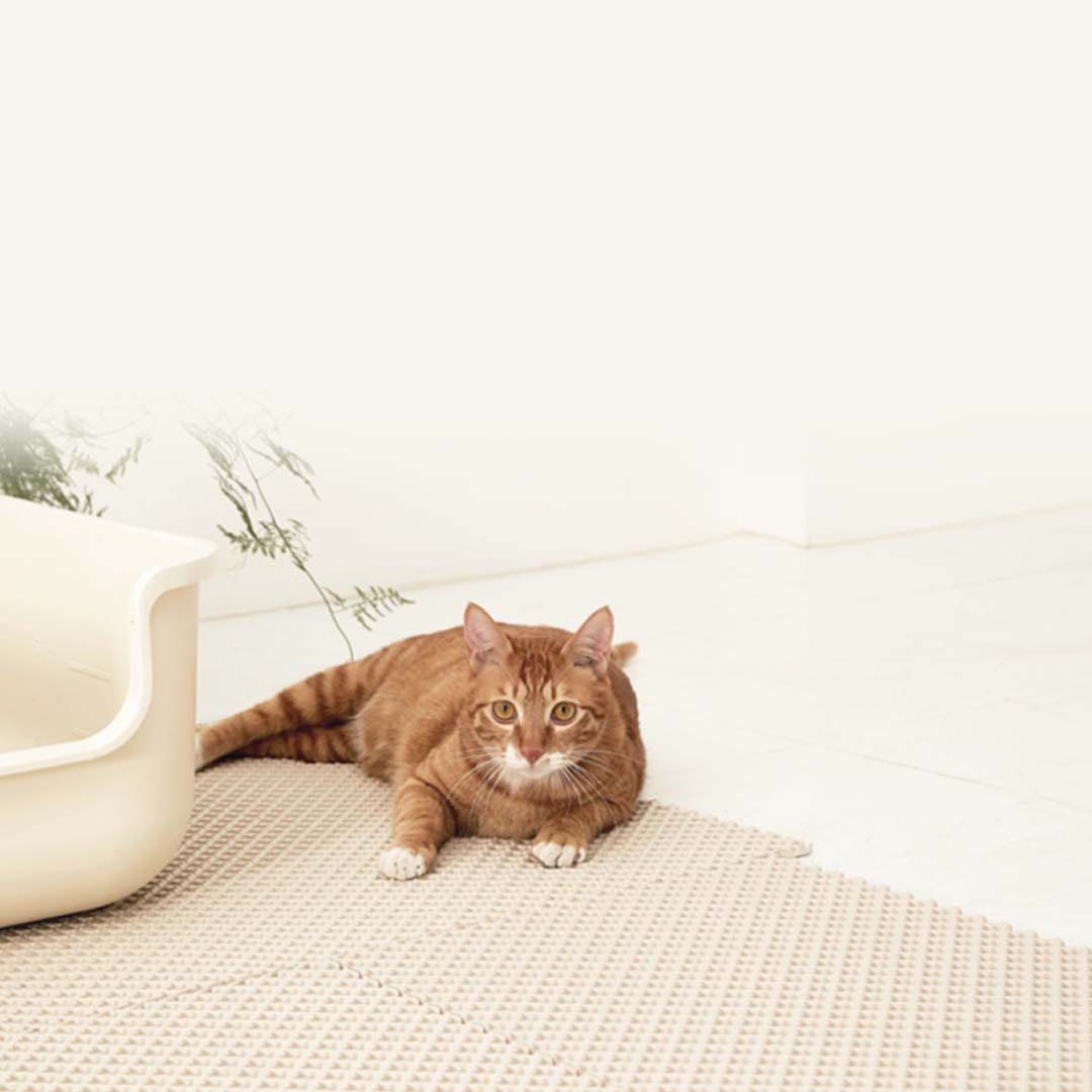 소심한호랑이 고양이모래매트 사막화방지매트 가벼운무게