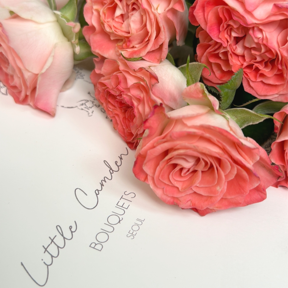 리틀캠든 페어플 장미 생화꽃다발
