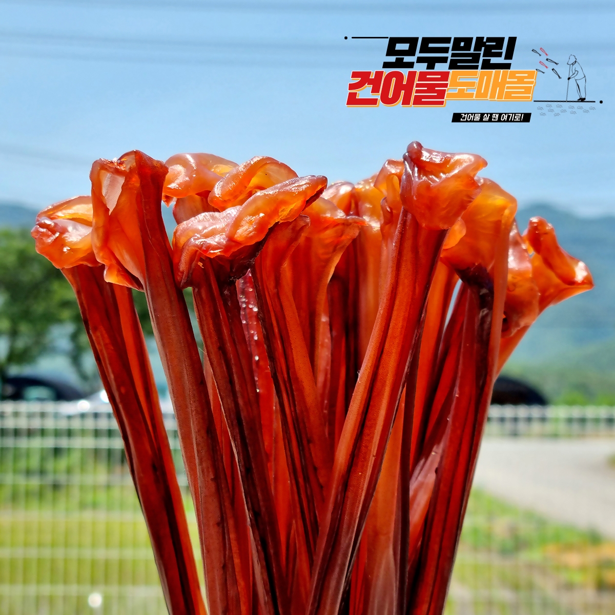 말랑 오징어 장족 가문어 문어 다리 슬라이스 대왕 문어발 통족 동전오족 마른 몸통오징어