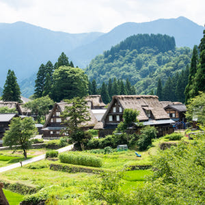 일본 시라카와고(白川郷) + 고카야마 아이노쿠라(五箇山相倉) 코스 솔직 후기 | 실사용자 리뷰 분석 - 상품 이미지 1