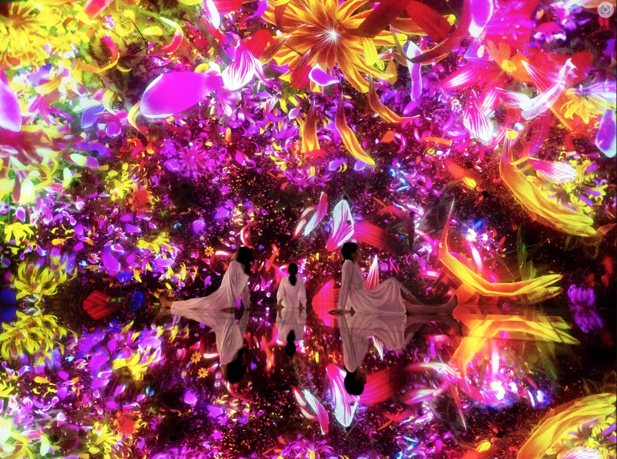 일본 스카이트리 엔조이팩 teamLab Planets TOKYO DMM 플랜 이미지 2