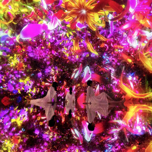 일본 스카이트리 엔조이팩 teamLab Planets TOKYO DMM ... 솔직 후기 | 실사용자 리뷰 분석 - 상품 이미지 2