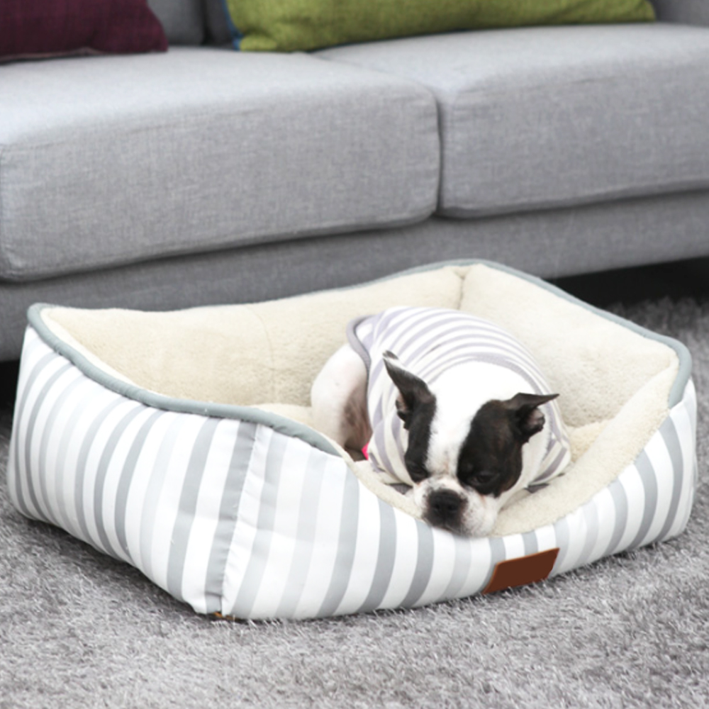 개과천선 엔스피 강아지 사각 방석 사계절 극세사 애견 꿀잠 양면 침대 쿠션 소파 그레이 - 상품 이미지