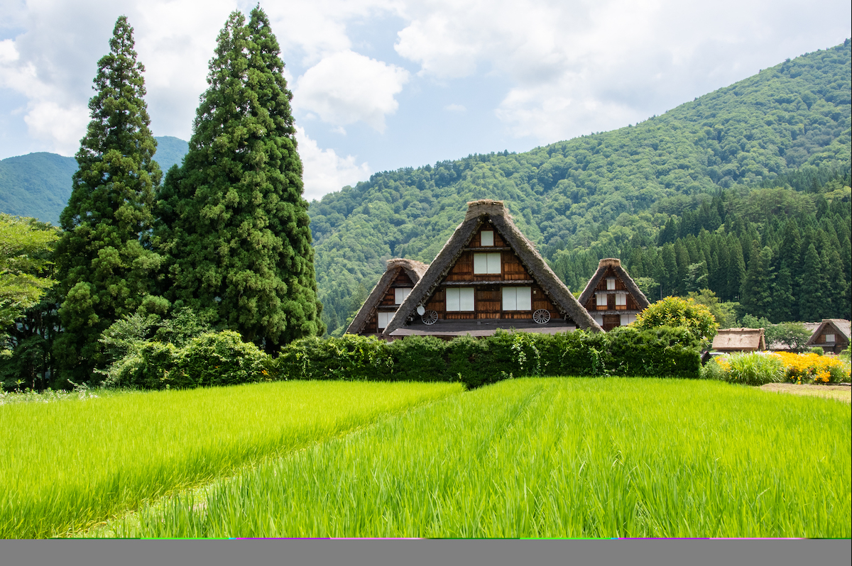 일본 시라카와고(白川郷) + 고카야마 아이노쿠라(五箇山相倉) 코스 이미지 3