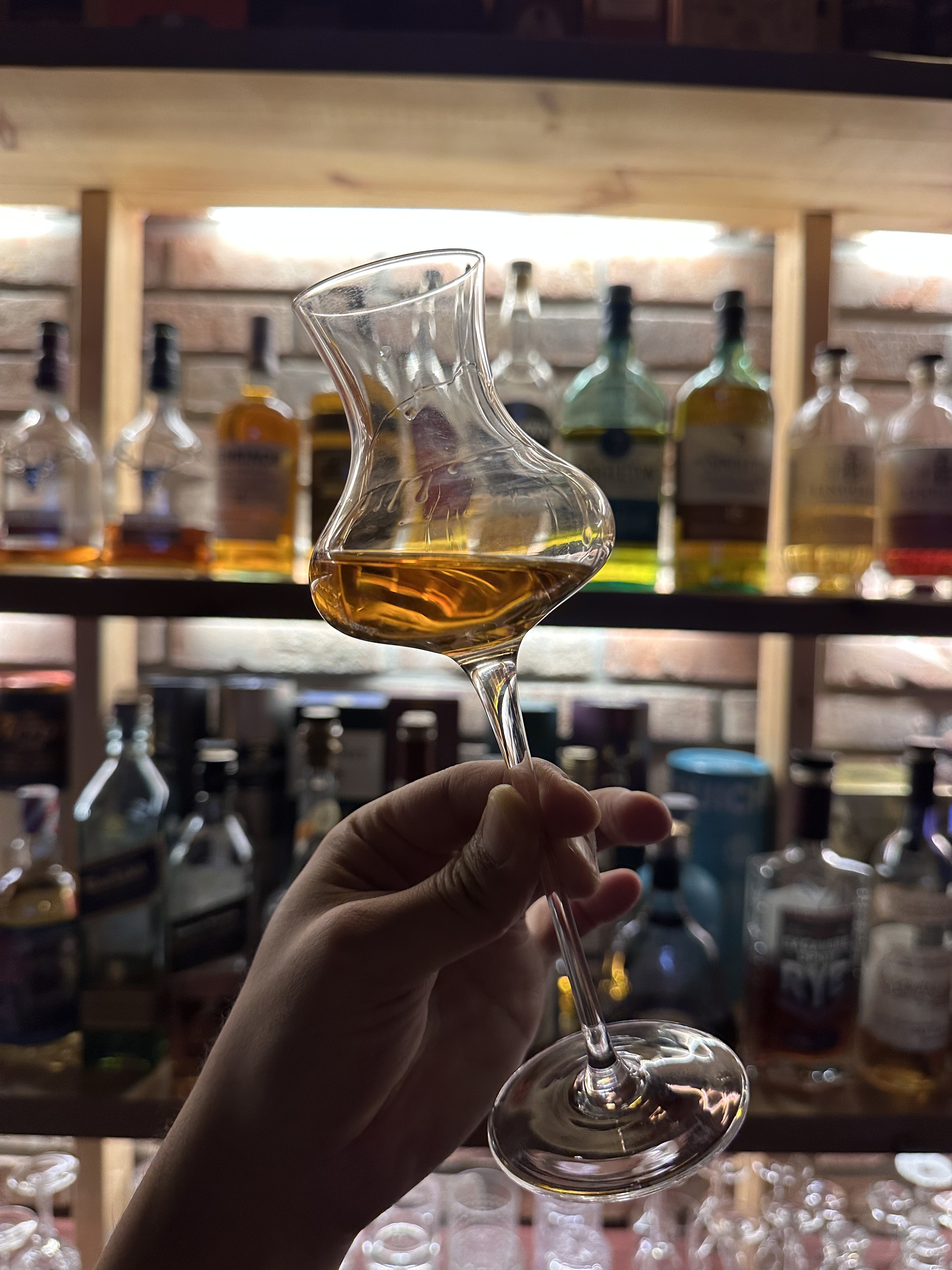 스탠다드 위스키잔 노징글라스 싱글몰트 니트잔 250ml