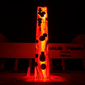 일본 스카이트리 엔조이팩 teamLab Planets TOKYO DMM ... 솔직 후기 | 실사용자 리뷰 분석 - 상품 이미지 1
