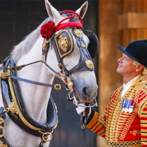 영국 [런던] 버킹엄 궁전 왕실 마구간 솔직 후기 | 실사용자 리뷰 분석 - 상품 이미지 1