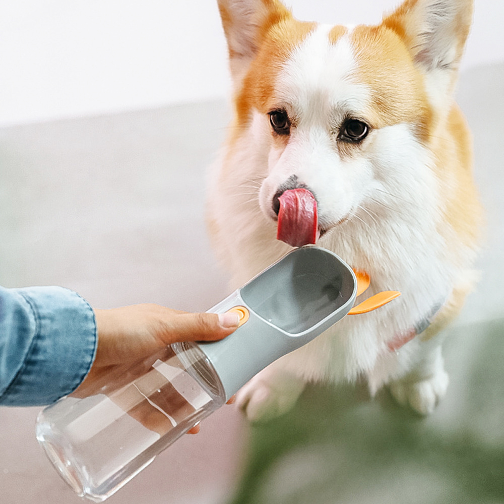 개과천선 토끼 펫 휴대용 물병 강아지 고양이 슬라이드 급수대 산책 용품 물통 누수 방지 - 상세 이미지 2