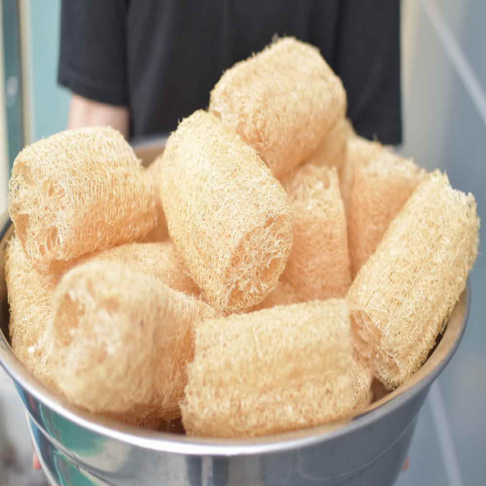 지구오필리아 루파 열매 수세미 주방 세척용 10~15cm - 상세 이미지 3
