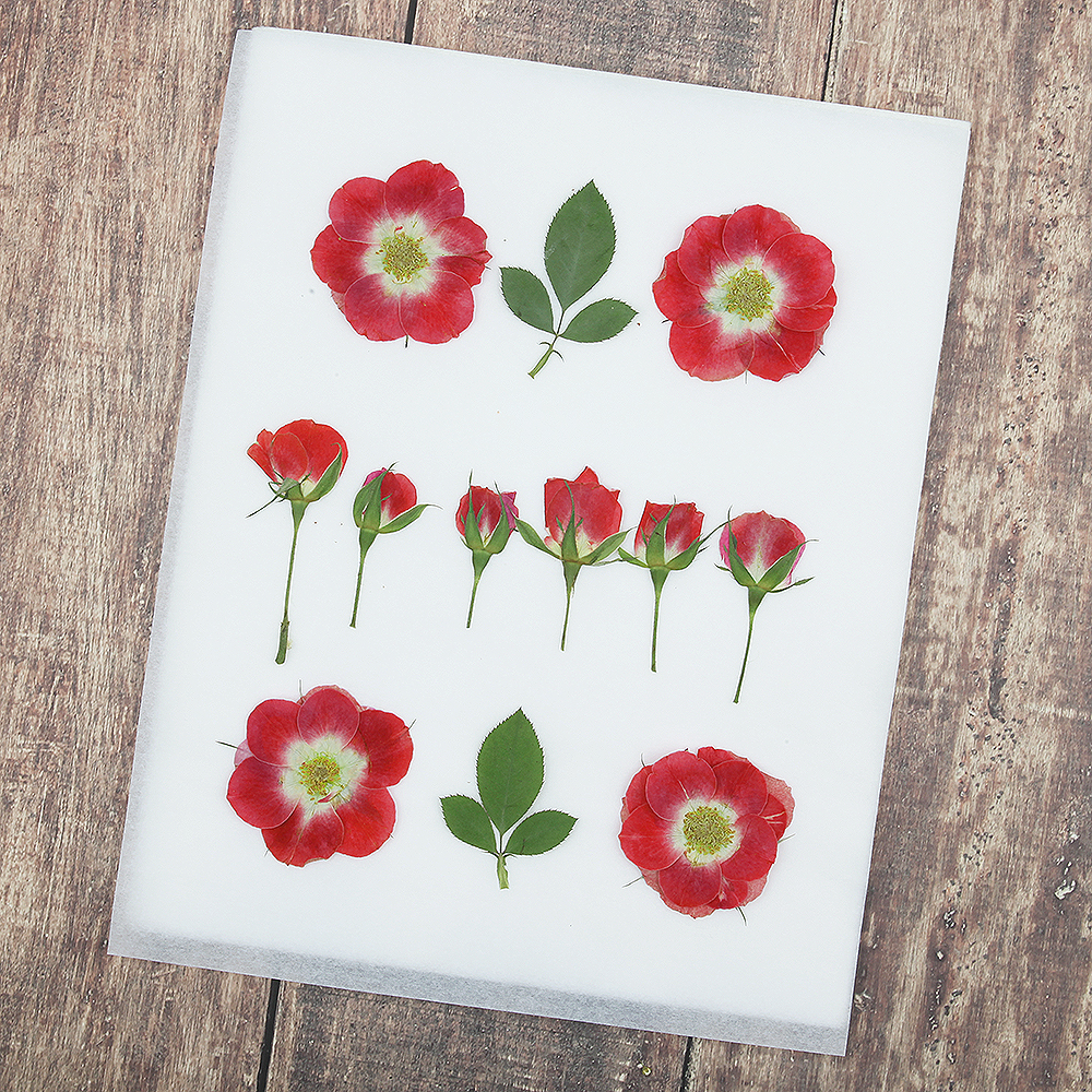 오쿠 꽃 건조매트 압화 건조기 식품건조기 과일건조기