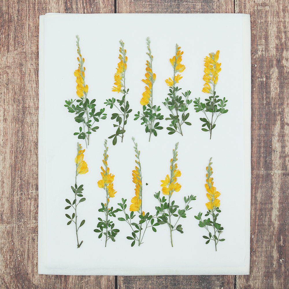 오쿠 꽃 건조매트 압화 건조기 식품건조기 과일건조기