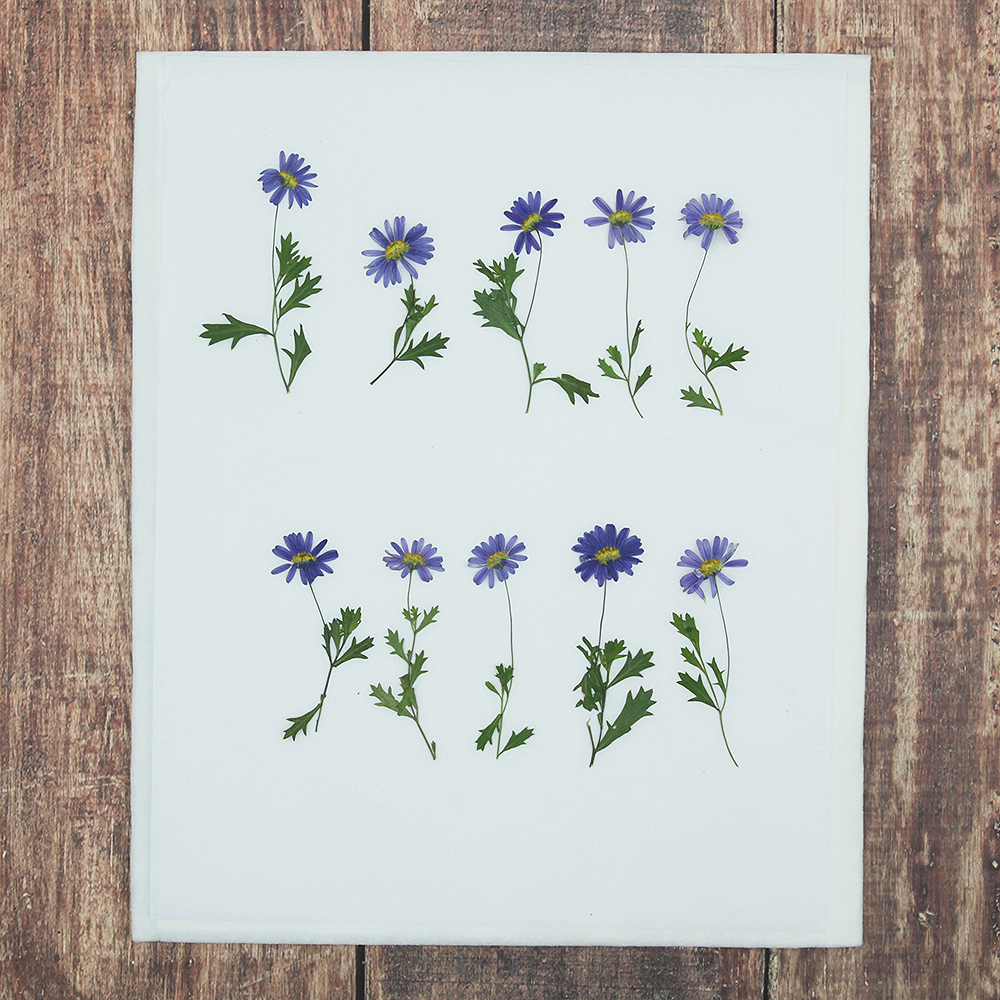 오쿠 꽃 건조매트 압화 건조기 식품건조기 과일건조기