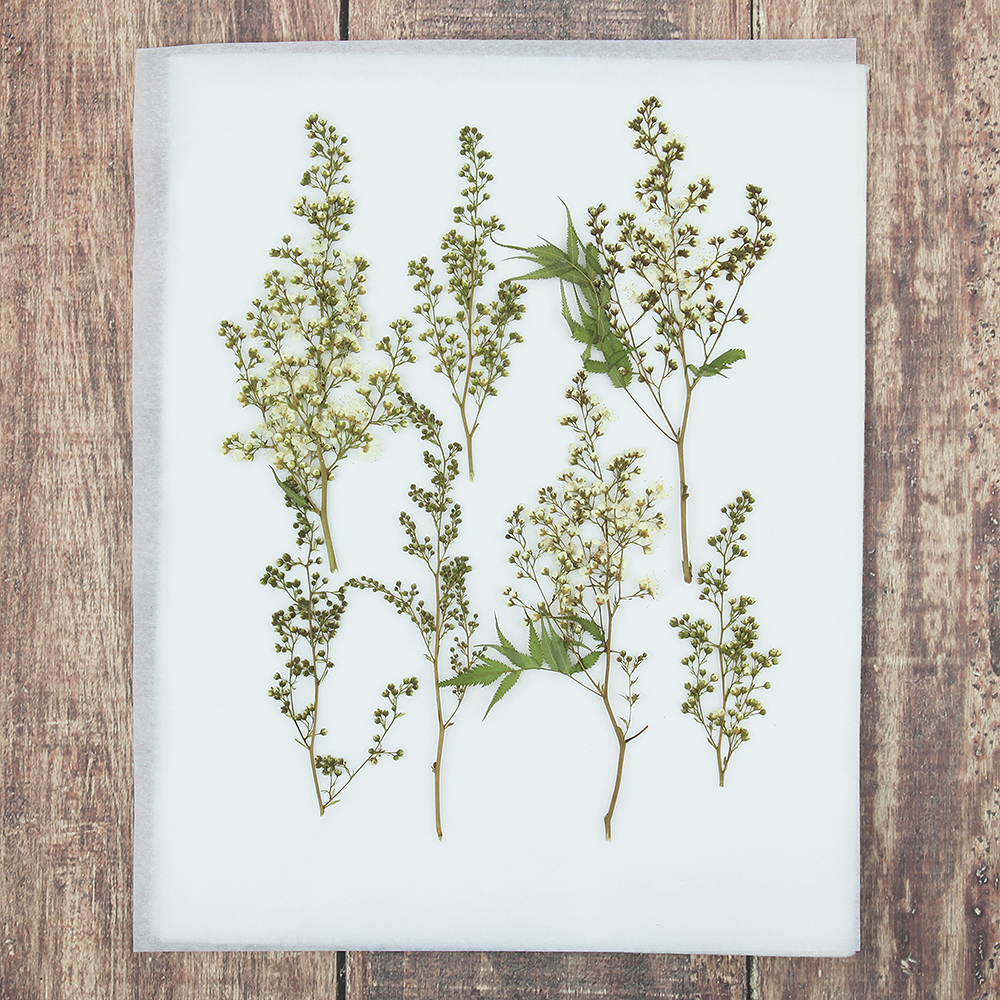 오쿠 꽃 건조매트 압화 건조기 식품건조기 과일건조기