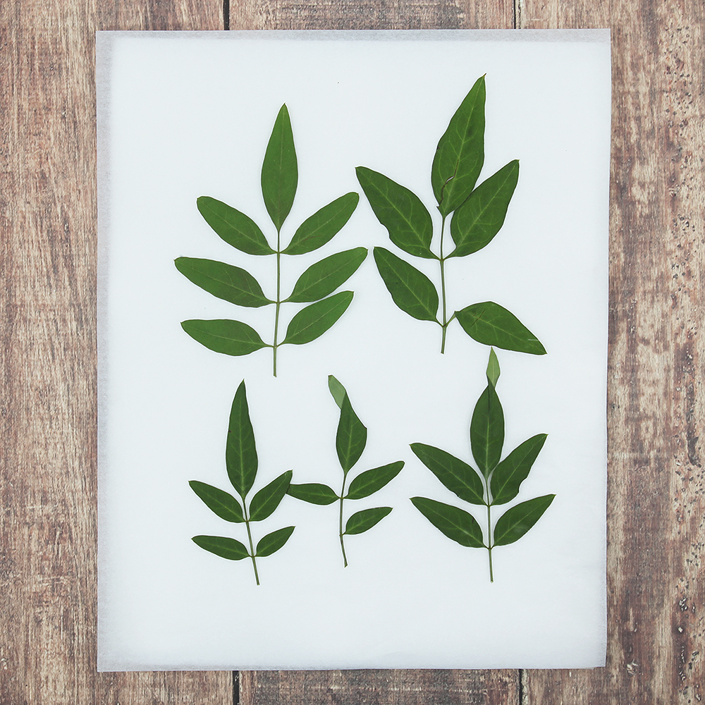 오쿠 꽃 건조매트 압화 건조기 식품건조기 과일건조기