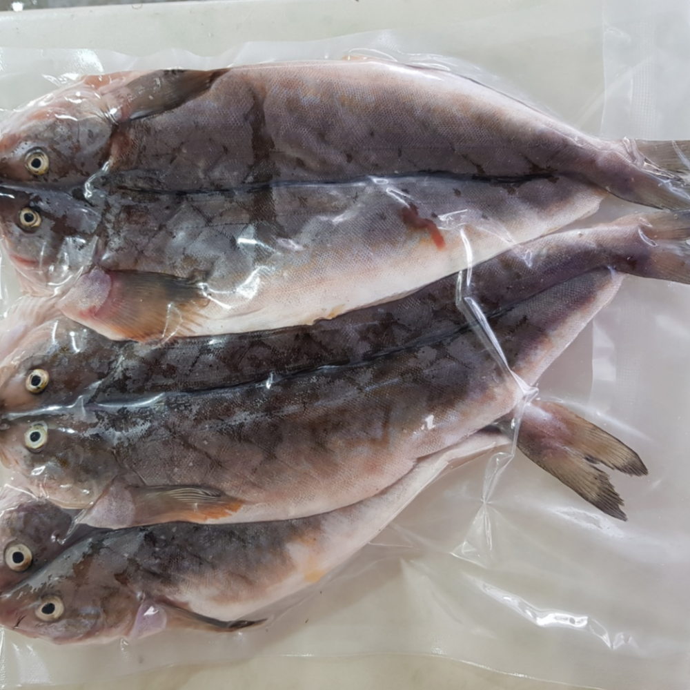 강원도 동해안 새치 생선 손질 임연수 이면수 1kg - 상세 이미지 2