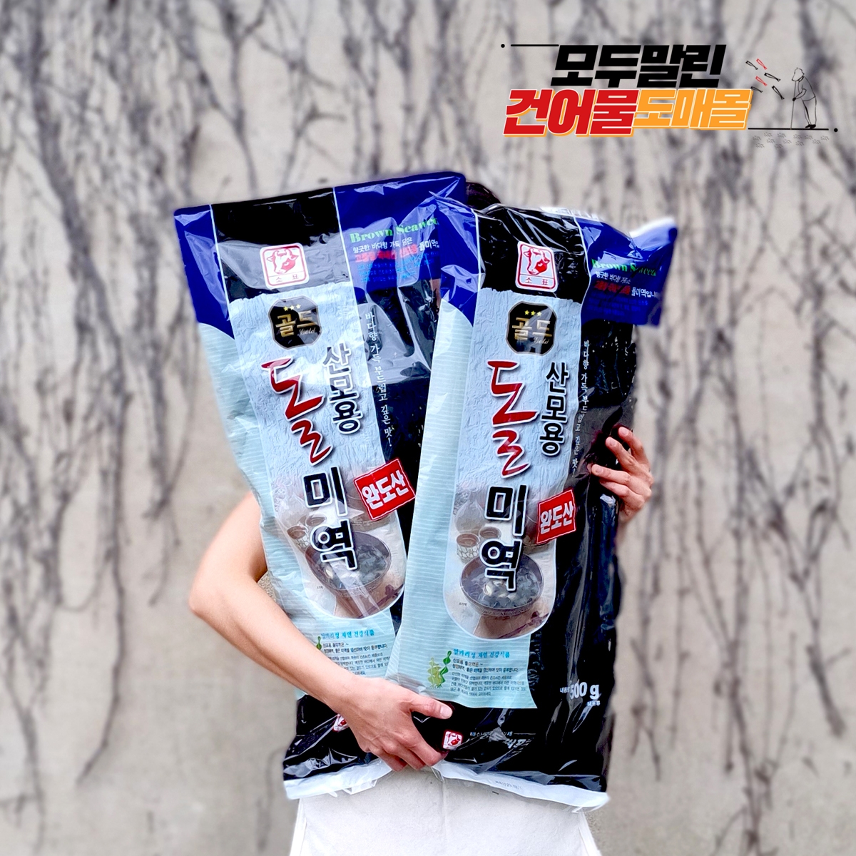 완도 돌미역 완도미역 산모미역 500g, 1개 - 상세 이미지 2