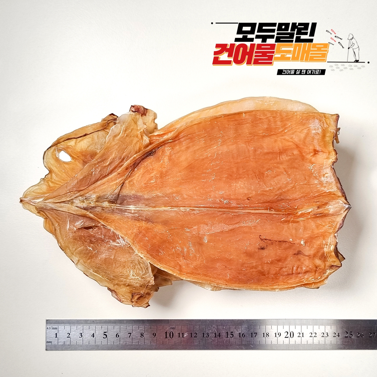 몸통오징어 파지 파품 말린 건오징어 500g 마른오징어 - 상세 이미지 5