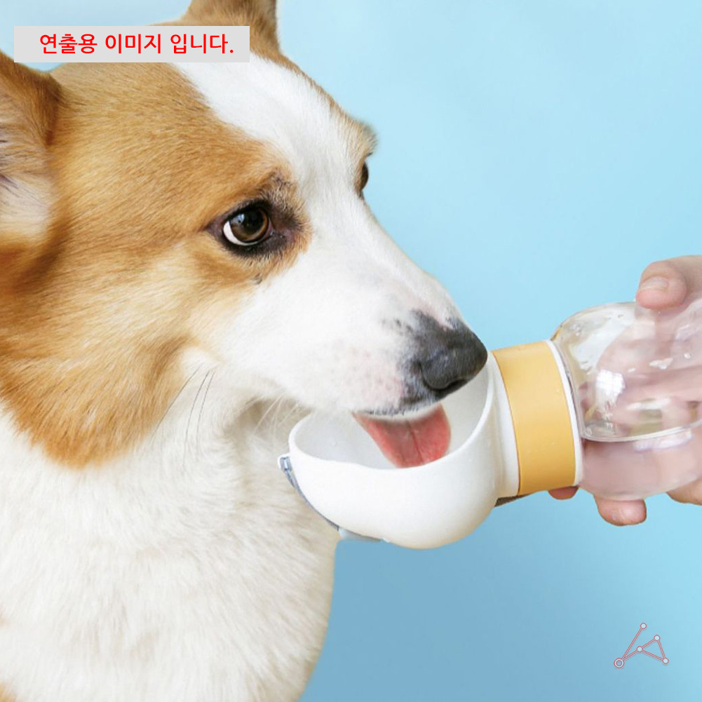 강아지산책물병 산책용 물병 반려견 물통 개물병 개물통 - 상세 이미지 5