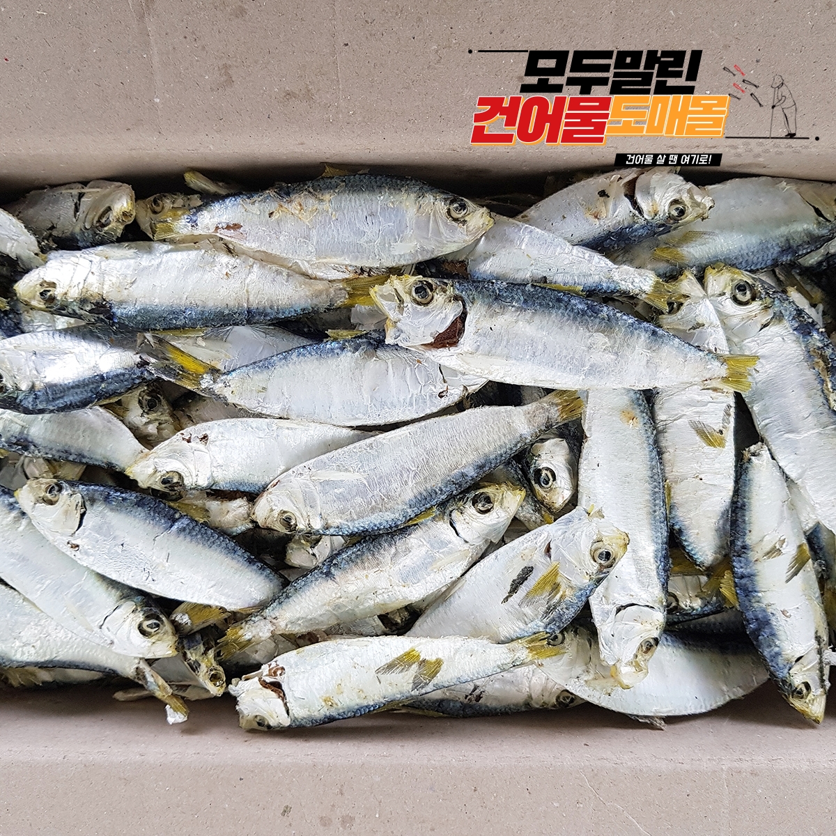 국내산 상급 디포리 밴댕이 남해 다시 국물 멸치 국물용 육수용 국멸치 1.5kg, 1개 - 상세 이미지 3