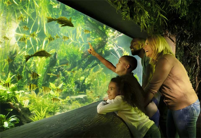영국 런던 SEA LIFE 런던 아쿠아리움 입장권 이미지 3
