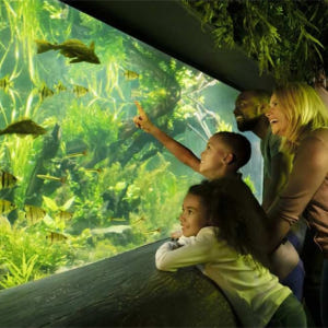 영국 런던 SEA LIFE 런던 아쿠아리움 입장권 솔직 후기 | 실사용자 리뷰 분석 - 상품 이미지 3