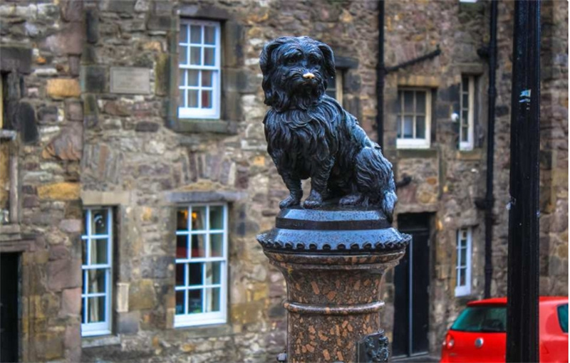 영국 에든버러 Hop-On-Hop-Off 버스 투어 | 런던 출발 이미지 2