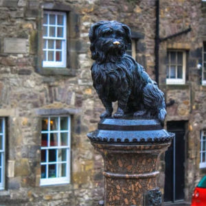 영국 에든버러 Hop-On-Hop-Off 버스 투어 | 런던 출발 솔직 후기 | 실사용자 리뷰 분석 - 상품 이미지 2