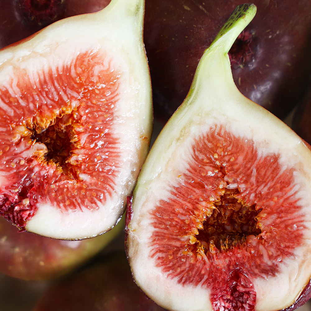 햇 무화과 홍무화과 고당도 당일수확