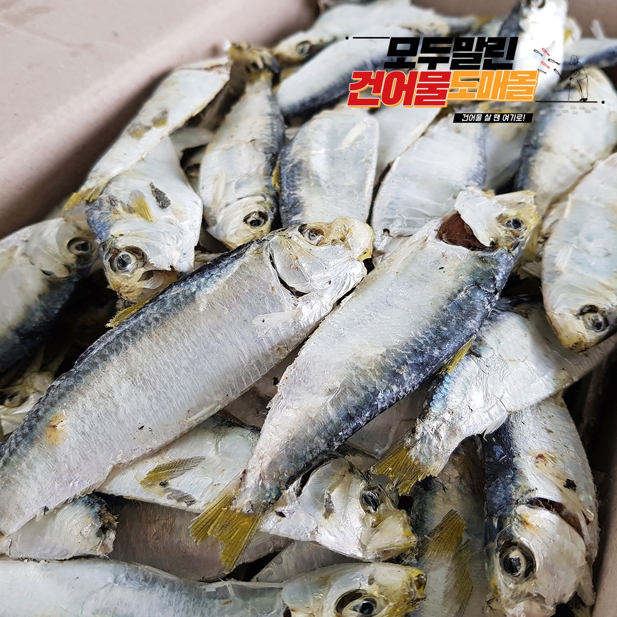 국내산 상급 디포리 밴댕이 남해 다시 국물 멸치 국물용 육수용 국멸치 1.5kg, 1개 - 상세 이미지 2