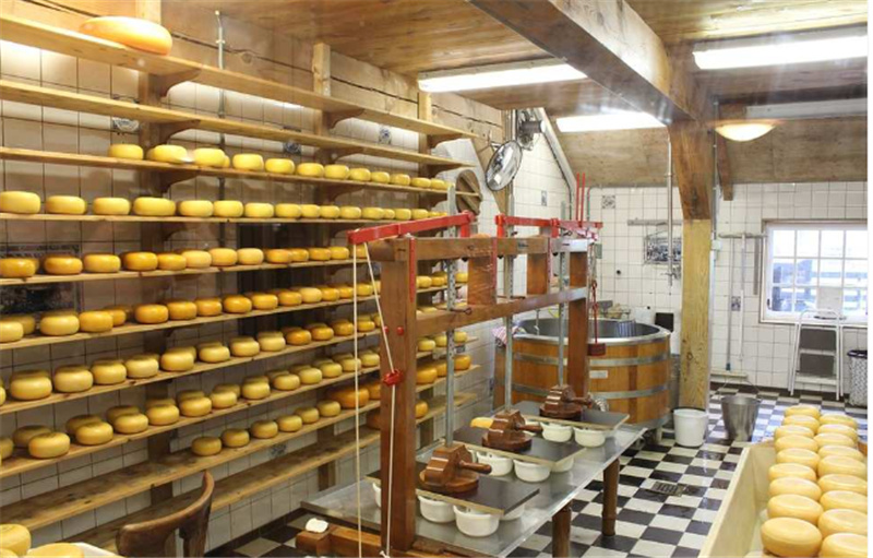 네덜란드 동화 속 마을같은 잔세스칸스&히트호른 프라이빗 일일투어 (암스테르담 출발 / 한국어 가이드) 이미지 4