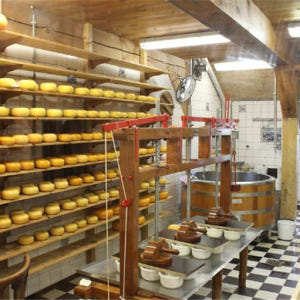 네덜란드 동화 속 마을같은 잔세스칸스&히트호른 프라이빗 일일투어 (암스테... 솔직 후기 | 실사용자 리뷰 분석 - 상품 이미지 4