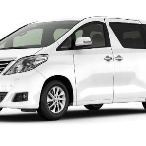 홍콩 프라이빗 일일/반나절 MPV 차량투어 솔직 후기 | 실사용자 리뷰 분석 - 상품 이미지 3