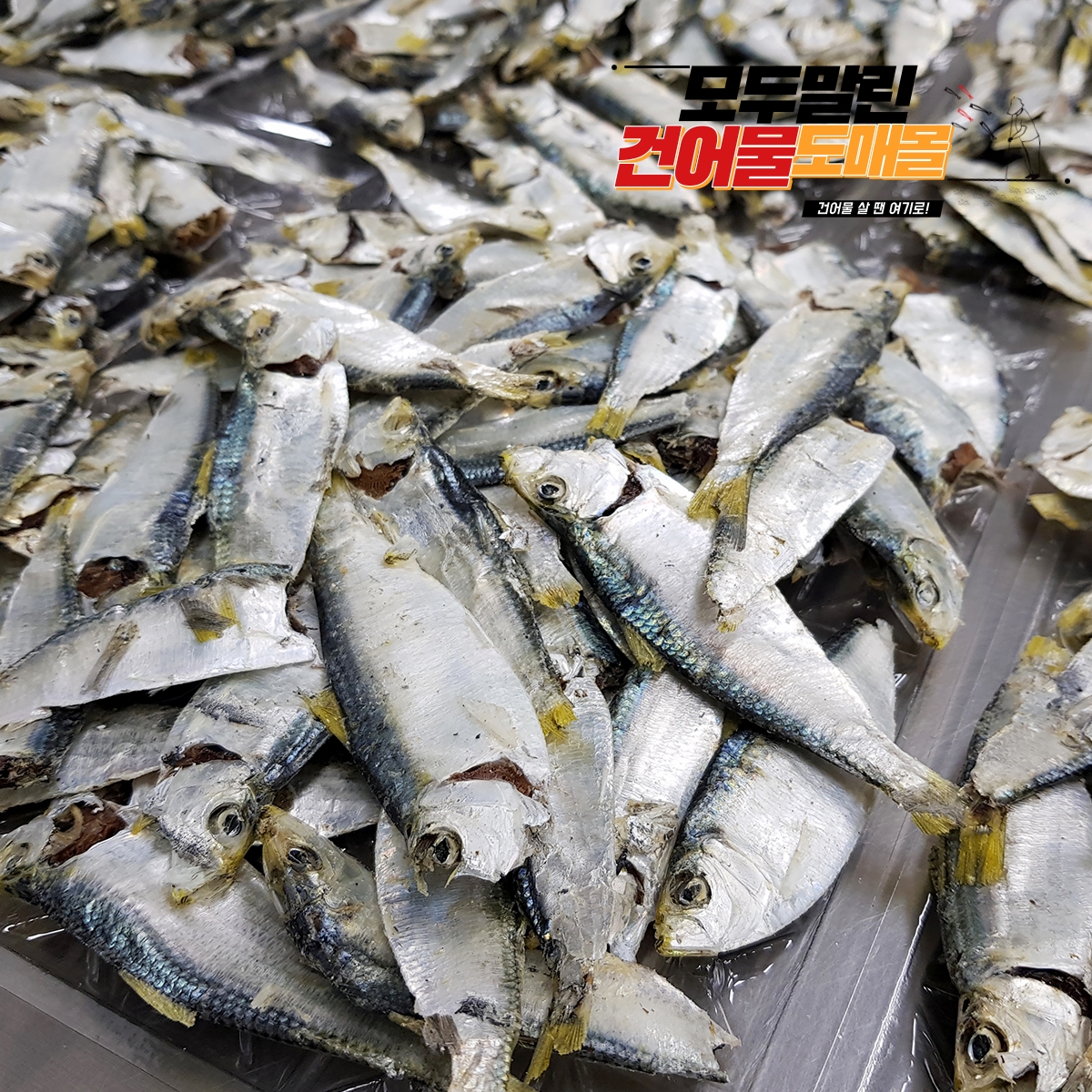 국내산 상급 디포리 밴댕이 남해 다시 국물 멸치 국물용 육수용 국멸치 500g, 1개 - 상품 이미지