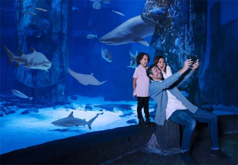 영국 런던 SEA LIFE 런던 아쿠아리움 입장권 이미지 2