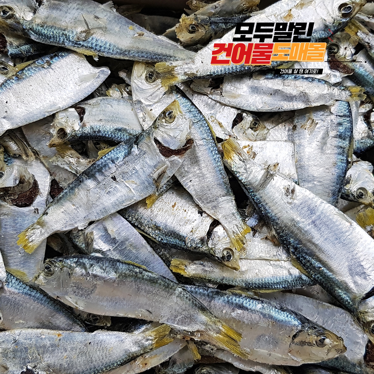 국내산 상급 디포리 밴댕이 남해 다시 국물 멸치 국물용 육수용 국멸치 1.5kg, 1개 - 상세 이미지 4