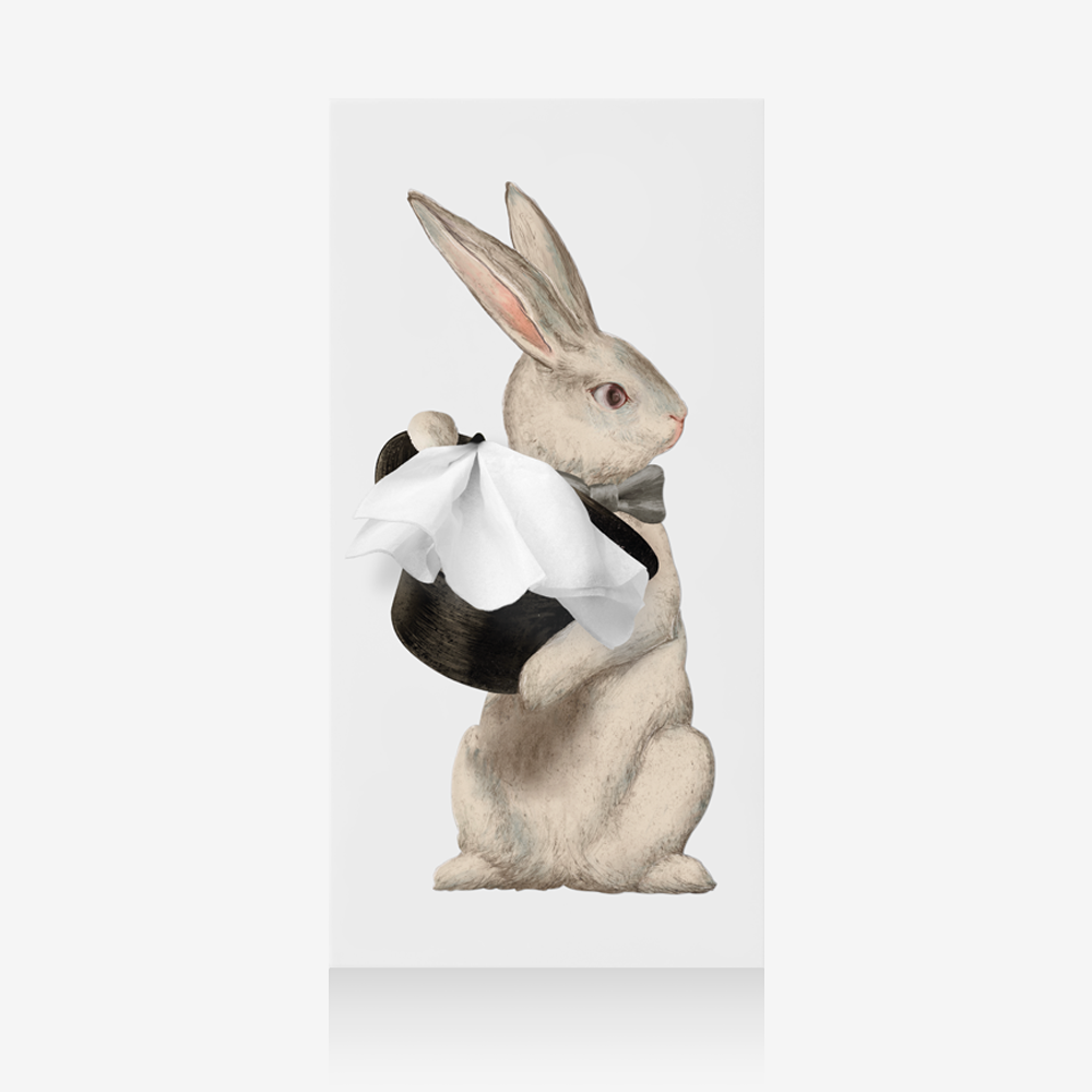 Tissue Up Girl 티슈업테일 토끼 버전(Wonder Rabbit) - 상세 이미지 5