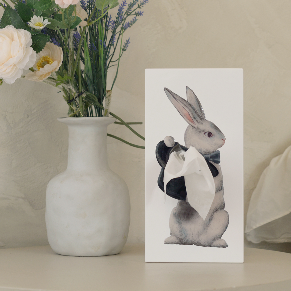 Tissue Up Girl 티슈업테일 토끼 버전(Wonder Rabbit) - 상세 이미지 2