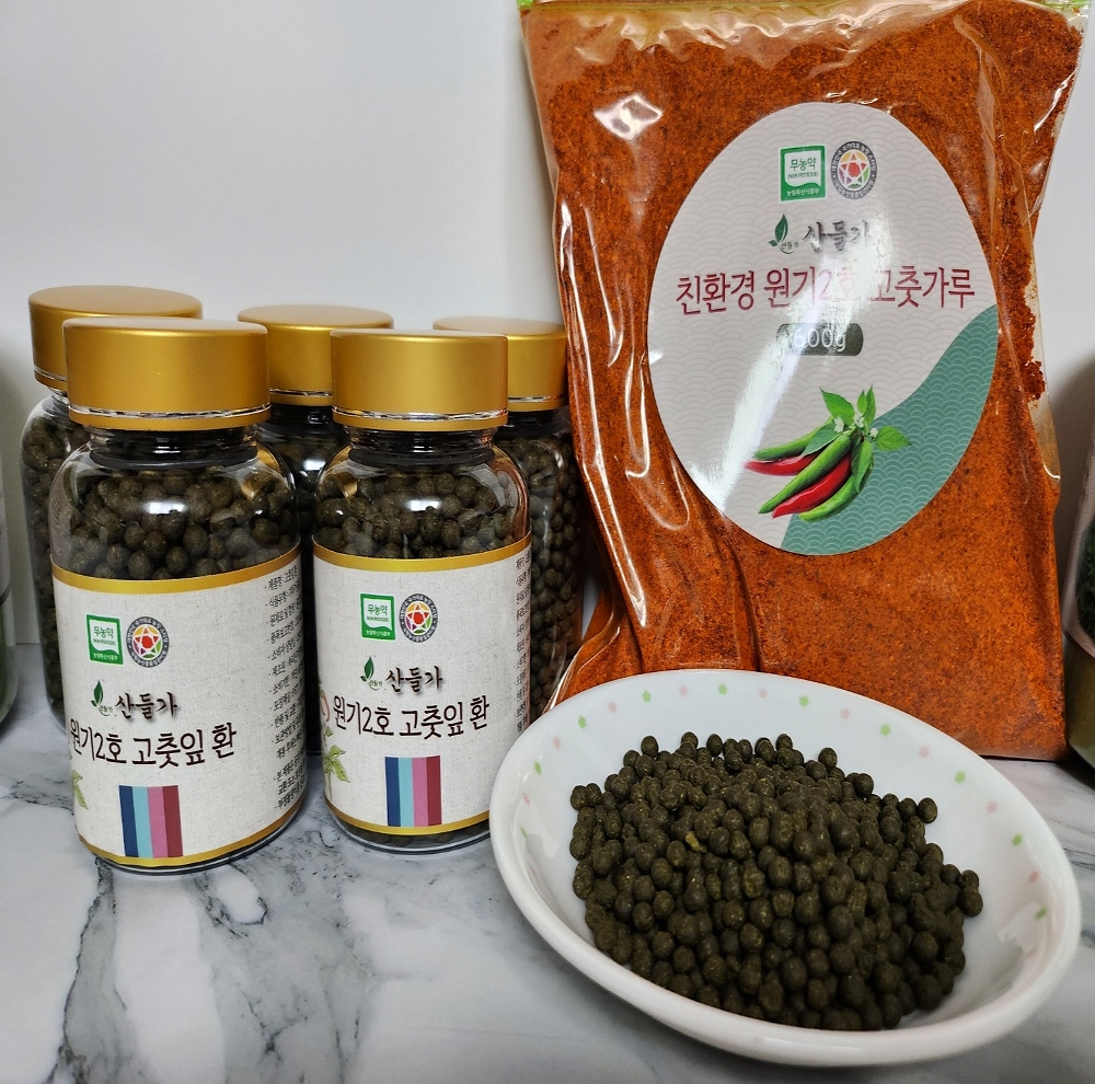 산들가 원기2호 고춧잎 환 고추잎 정 1통 - 상세 이미지 4