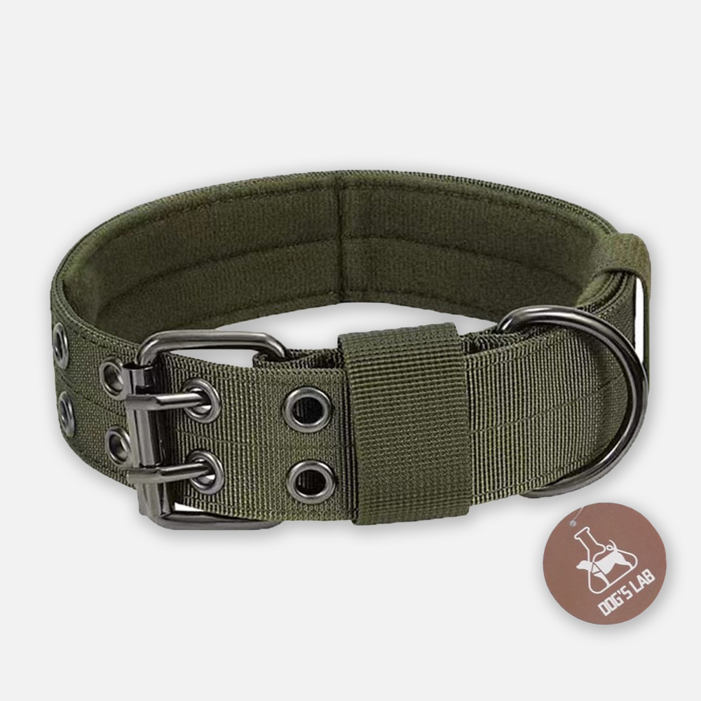 독스랩 강아지 목줄 중형견 대형견 목줄 진돗개 리트리버 M