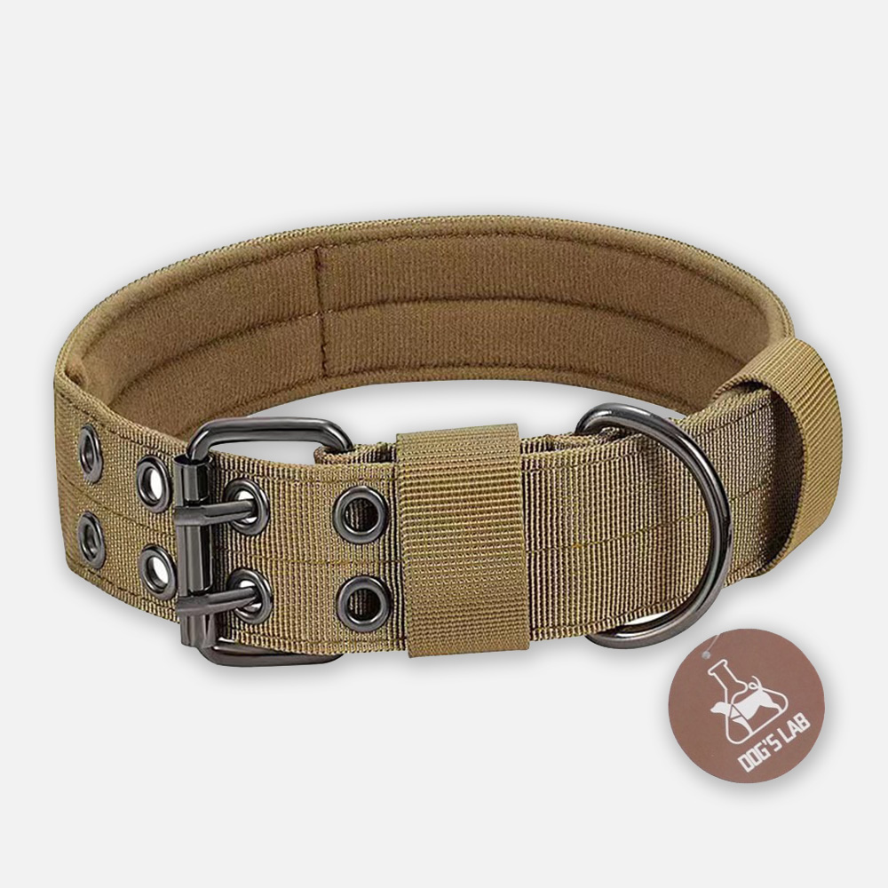 독스랩 강아지 목줄 중형견 대형견 목줄 진돗개 리트리버 M