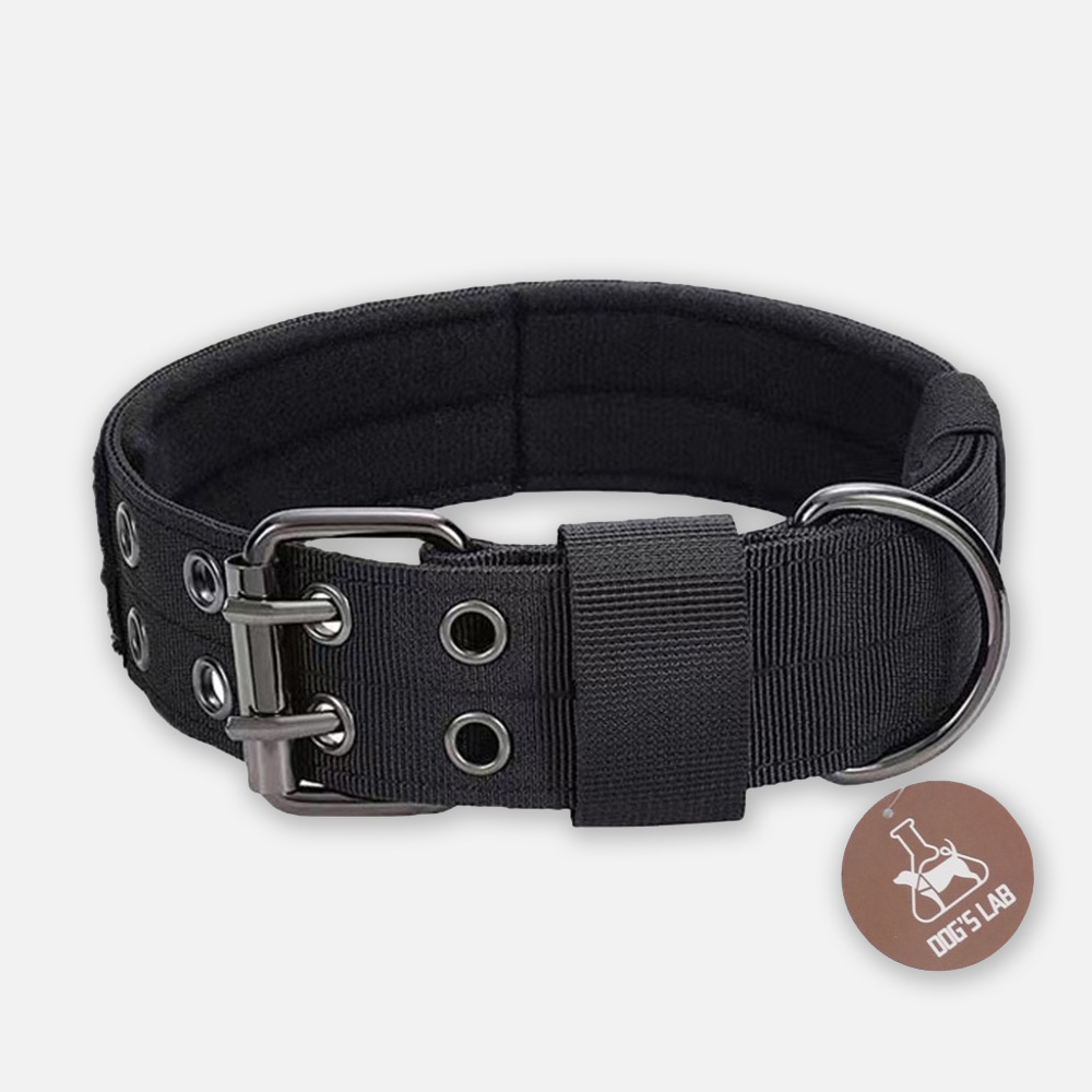 독스랩 강아지 목줄 중형견 대형견 목줄 진돗개 리트리버 M