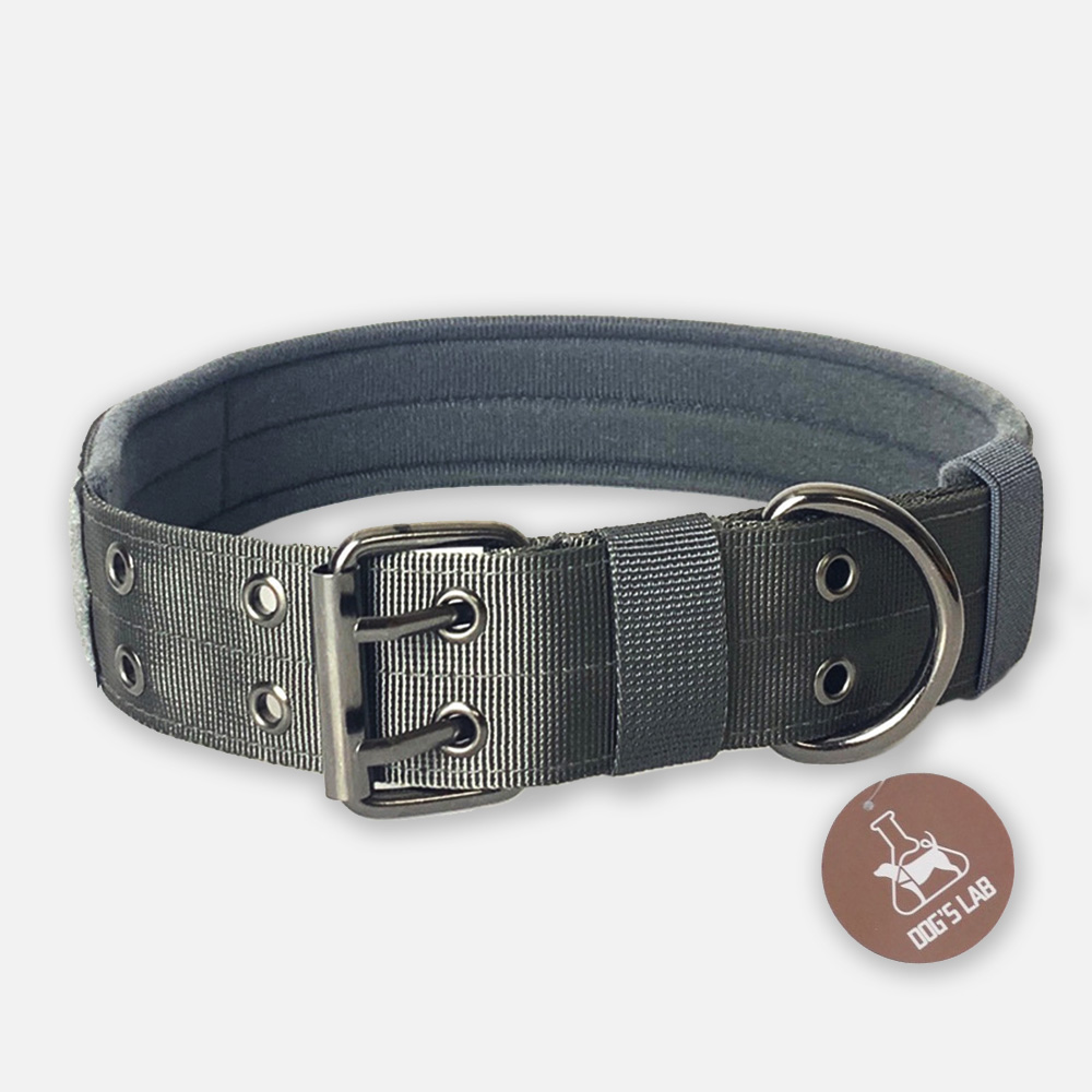 독스랩 강아지 목줄 중형견 대형견 목줄 진돗개 리트리버 M