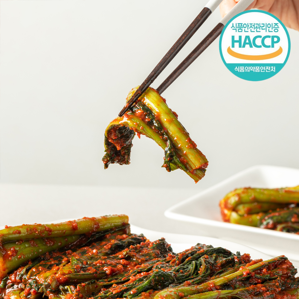 운림가 50년전통 여수 돌산 갓김치 2kg 전라도 국내산